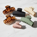 Hair Clips Set